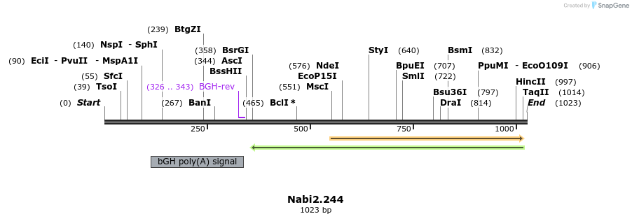 140311_map