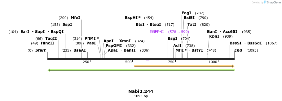 140312_map