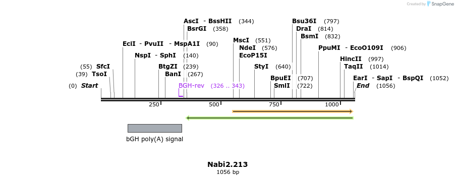 140314_map