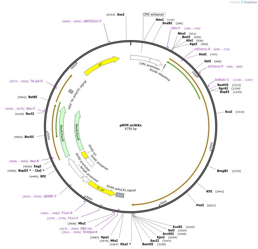 140322_map