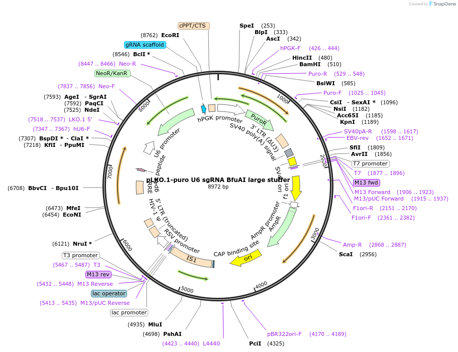 140323_map
