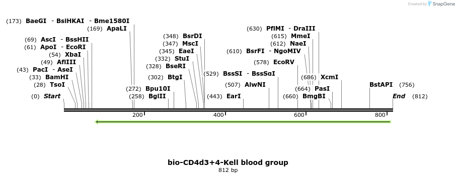 140329_map