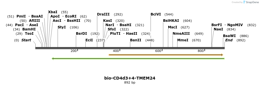 140334_map