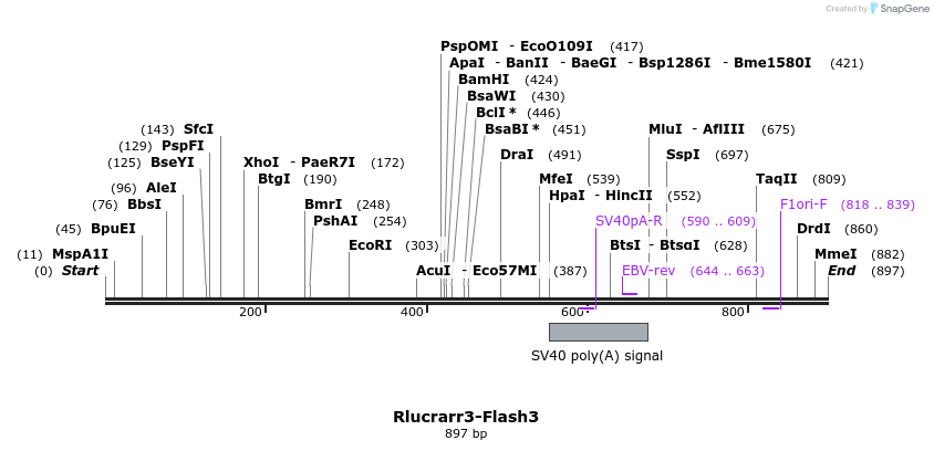 140348_map