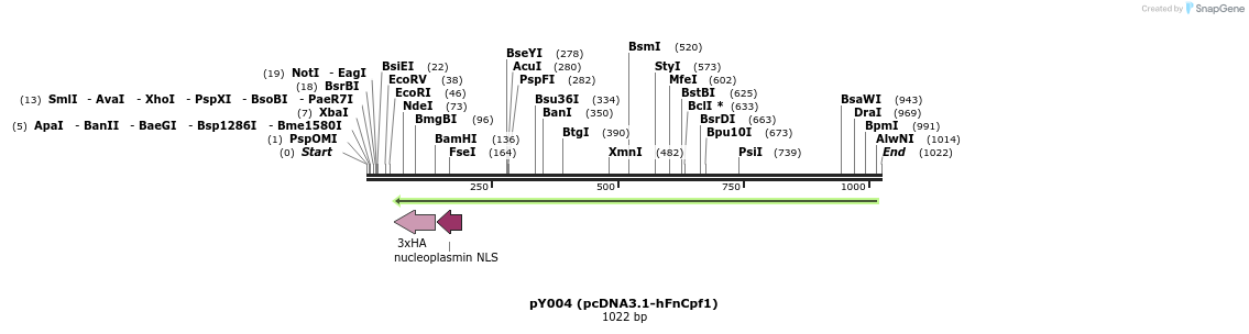 140353_map