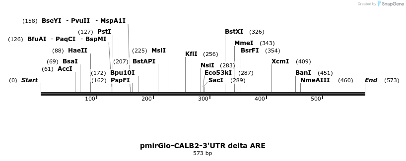 140356_map