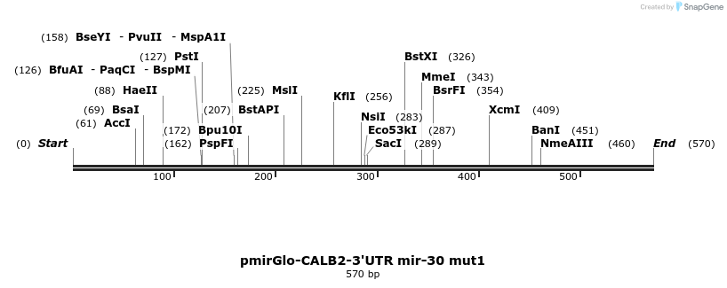 140358_map