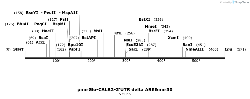 140360_map