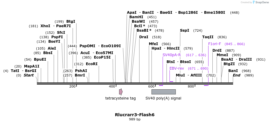 140361_map