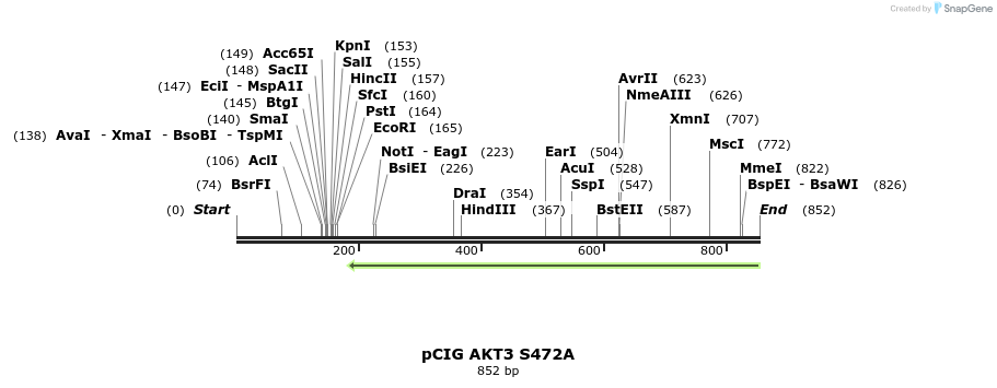 140362_map