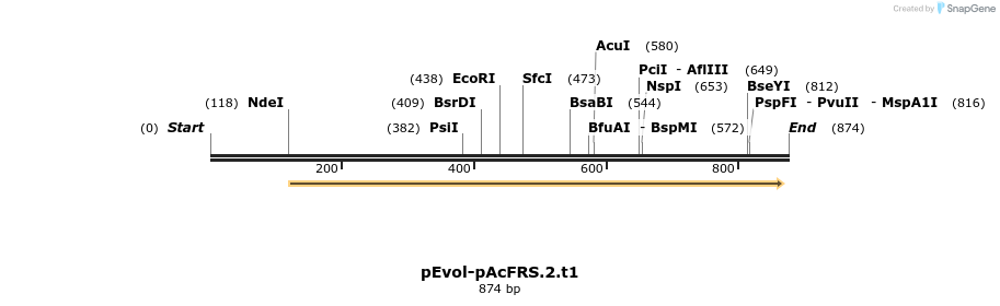 140363_map