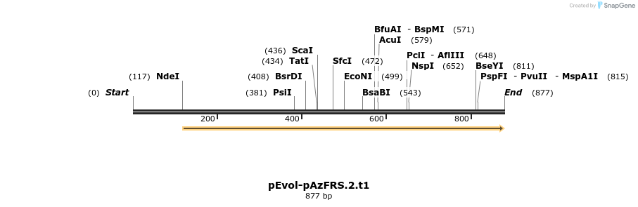 140372_map