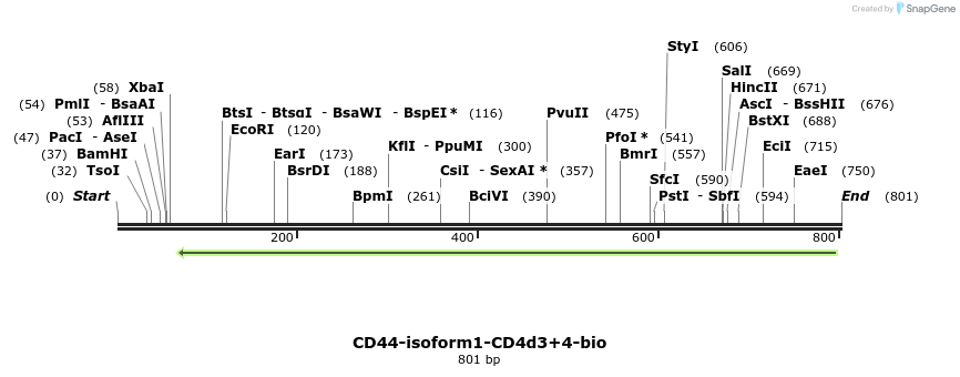 140374_map