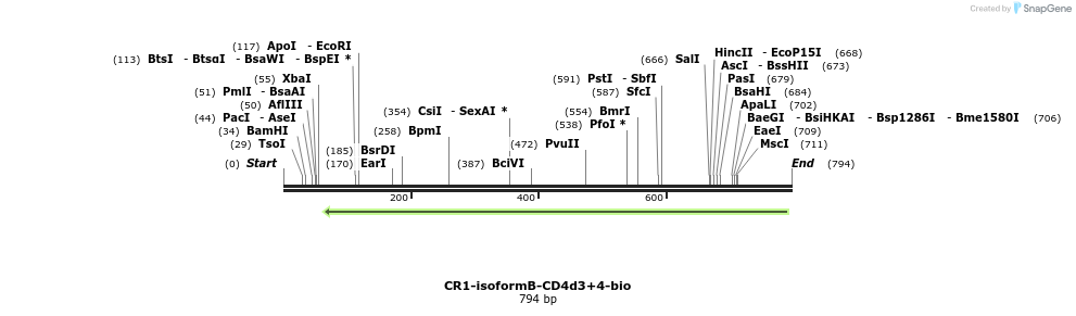 140375_map
