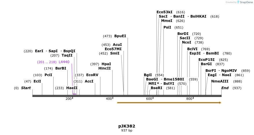 140377_map