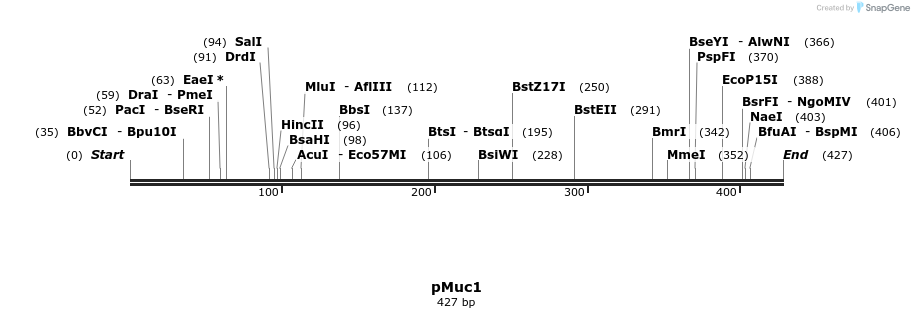 140378_map