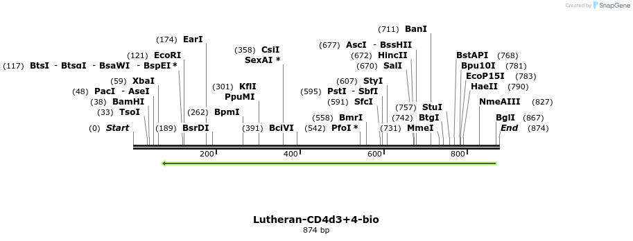 140379_map