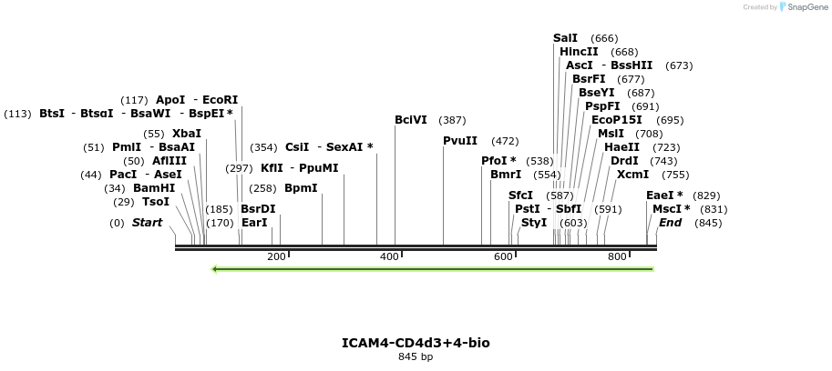 140380_map