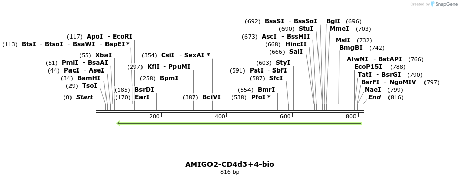 140384_map