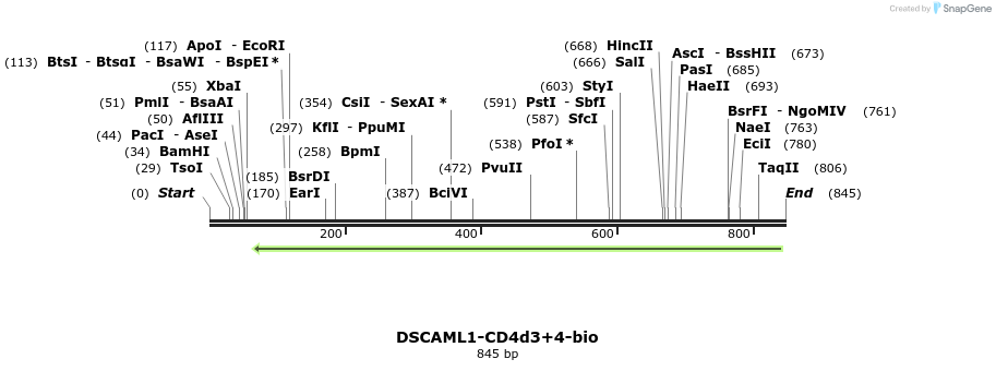 140385_map