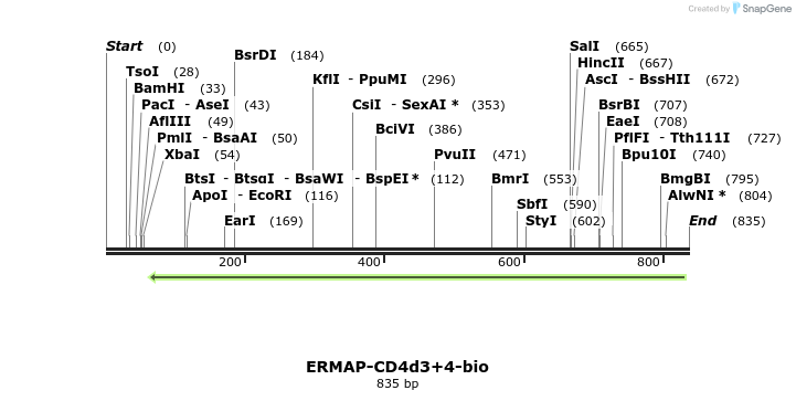 140389_map
