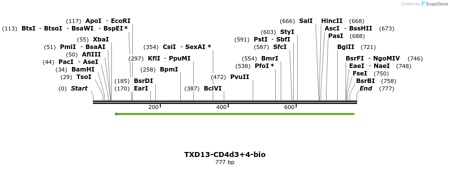 140390_map