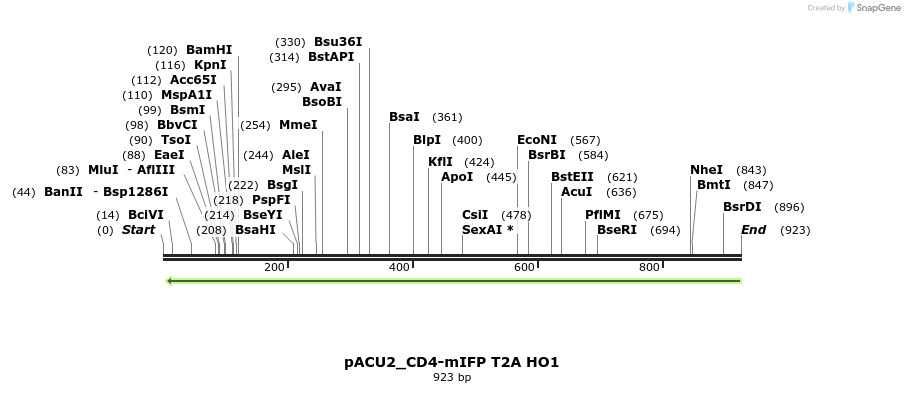 140396_map