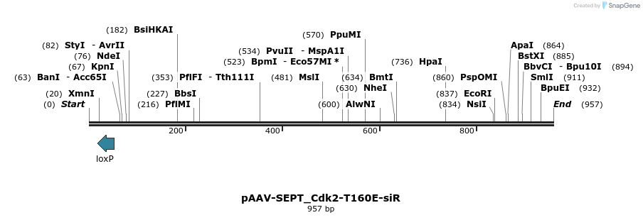 140402_map