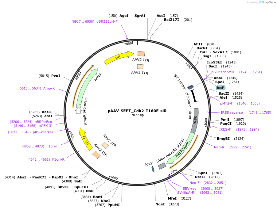 140404_map