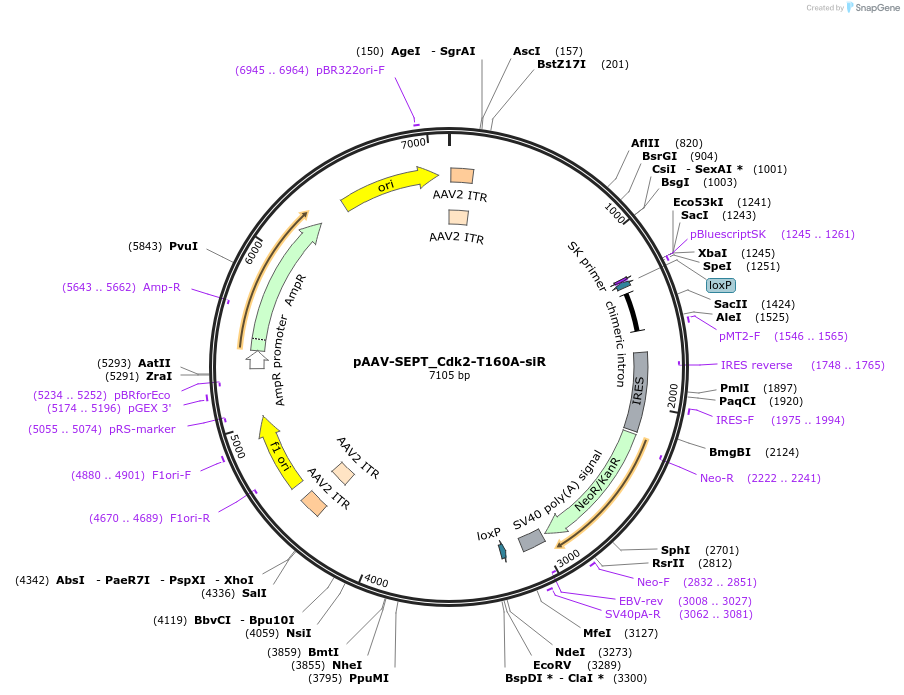 140408_map