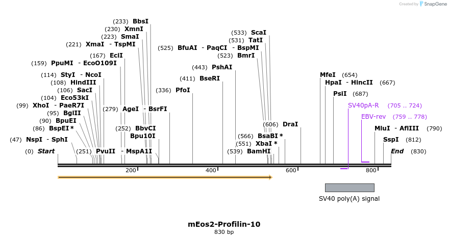 140427_map