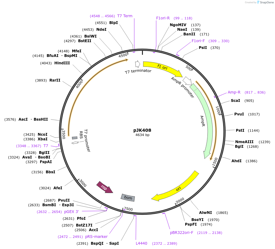 72422-plasmid-map-sequence-id-140429