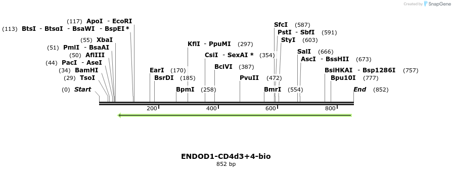 140436_map