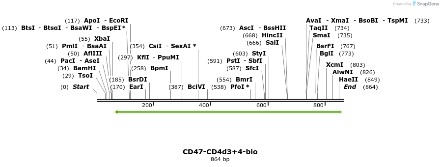 140446_map