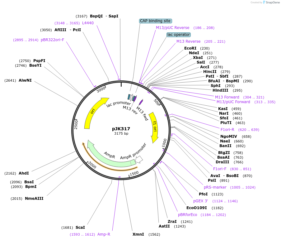 140449_map