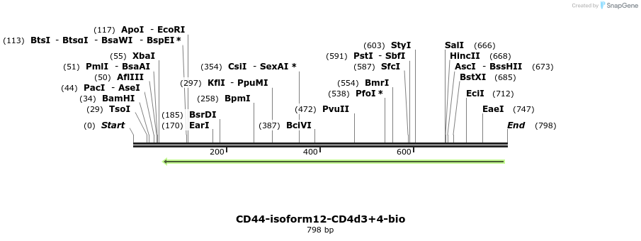 140463_map