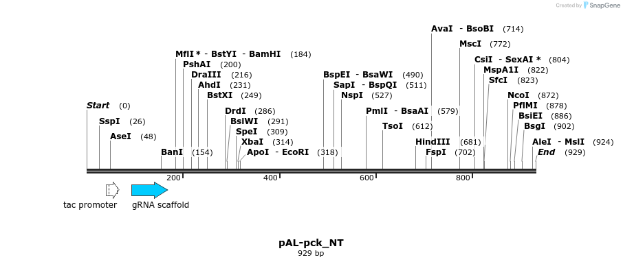 140475_map