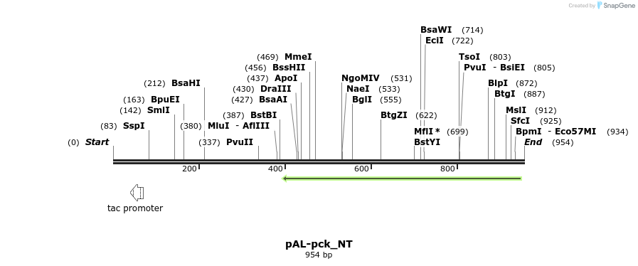 140476_map