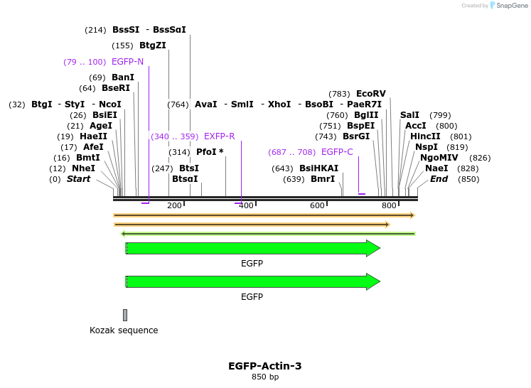 140483_map