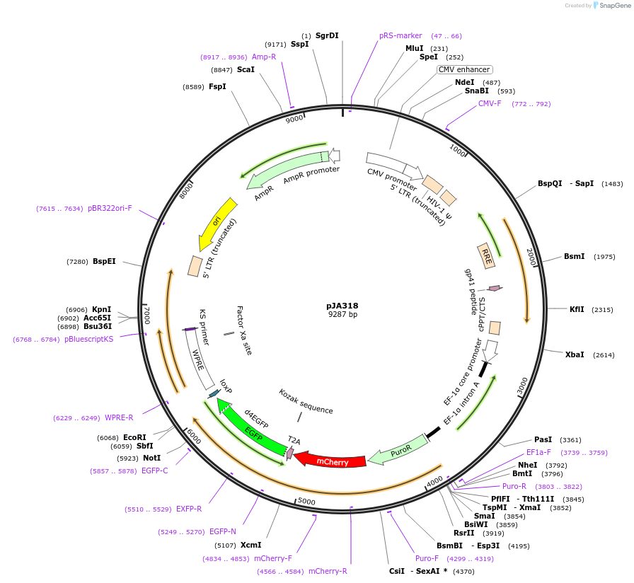 140491_map