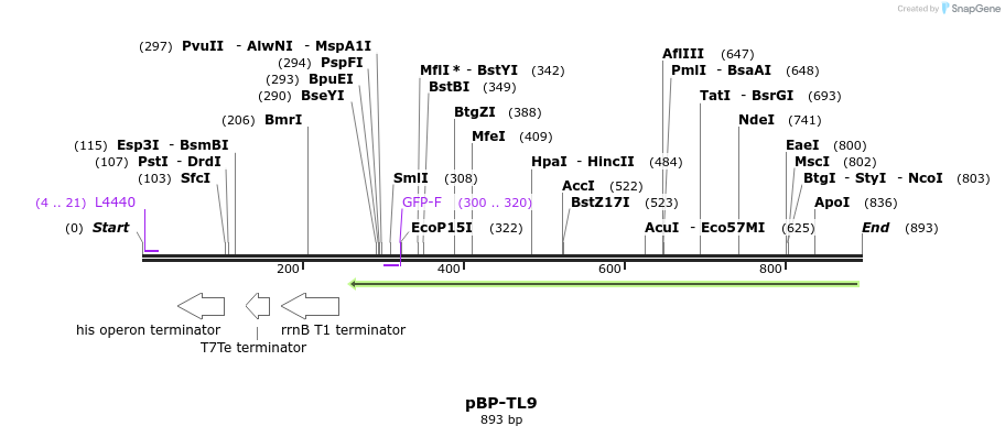 140498_map