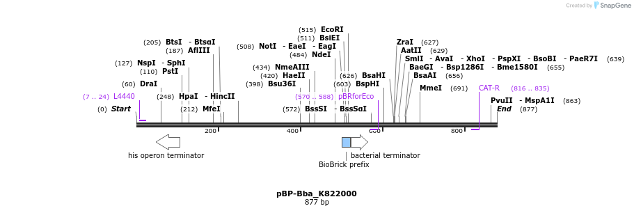 140505_map