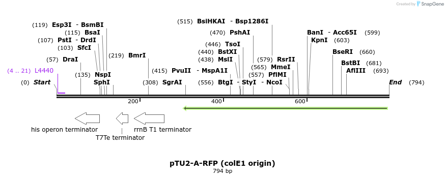 140506_map