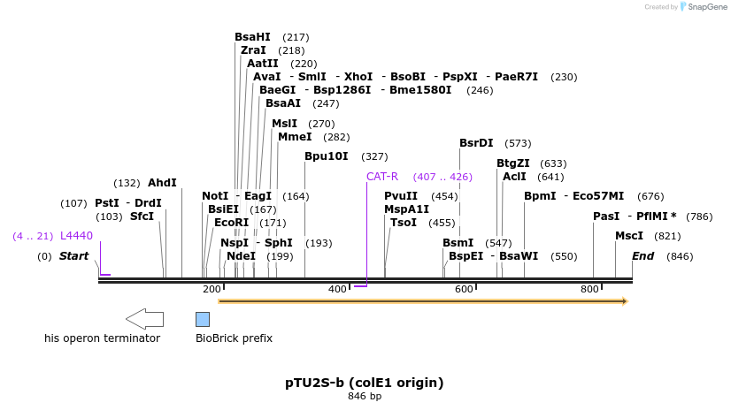 140507_map