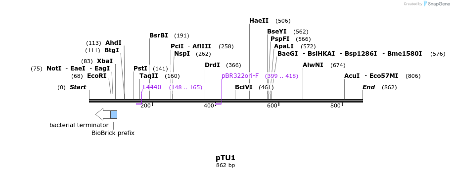 140519_map