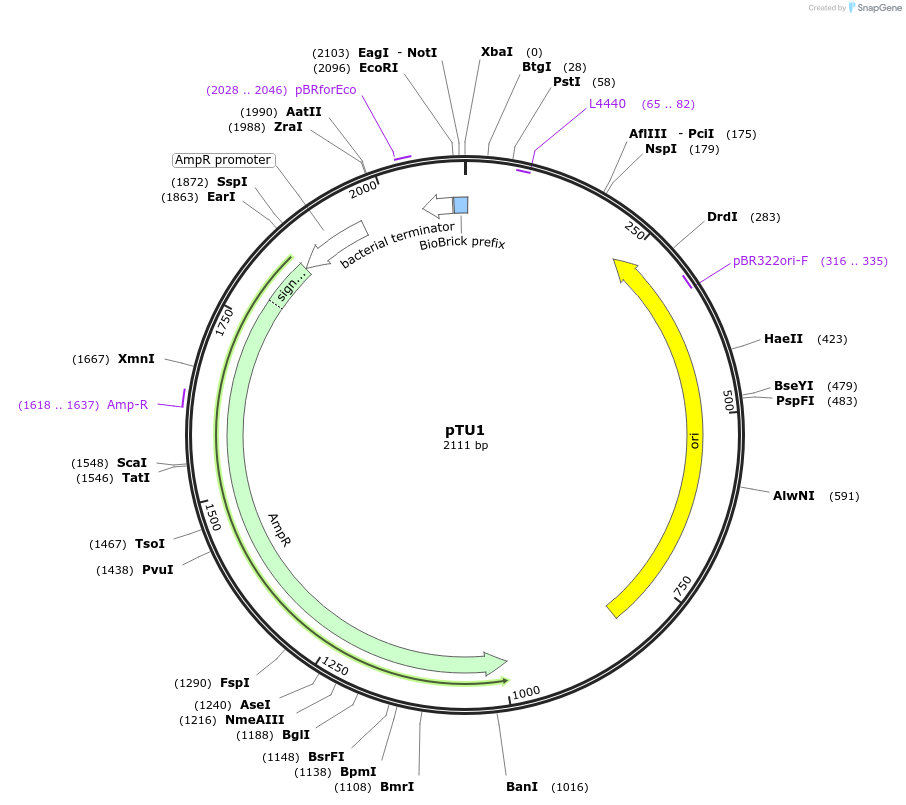 140521_map