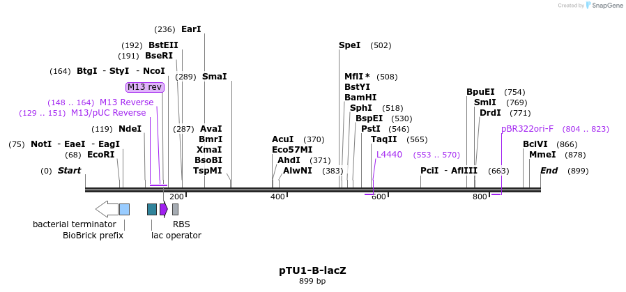 140524_map