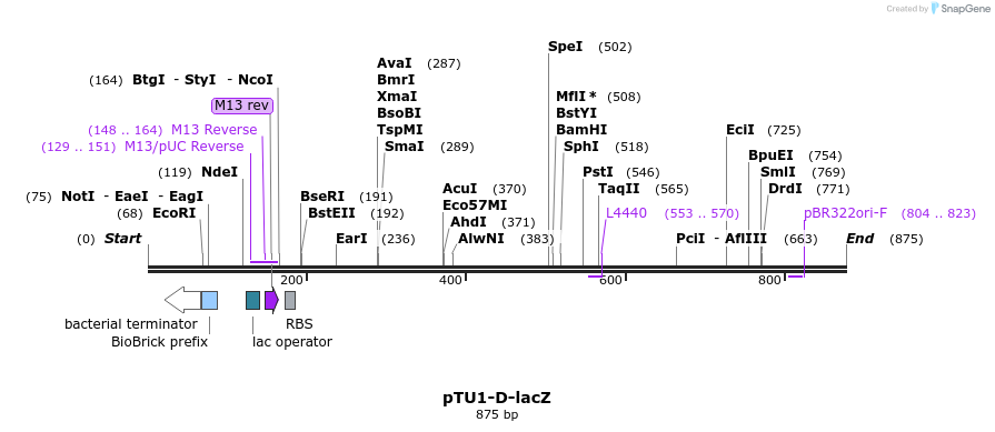 140526_map