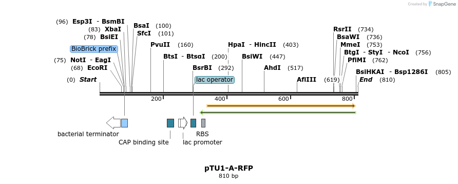 140527_map
