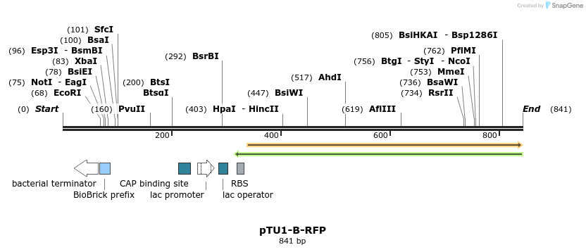 140528_map